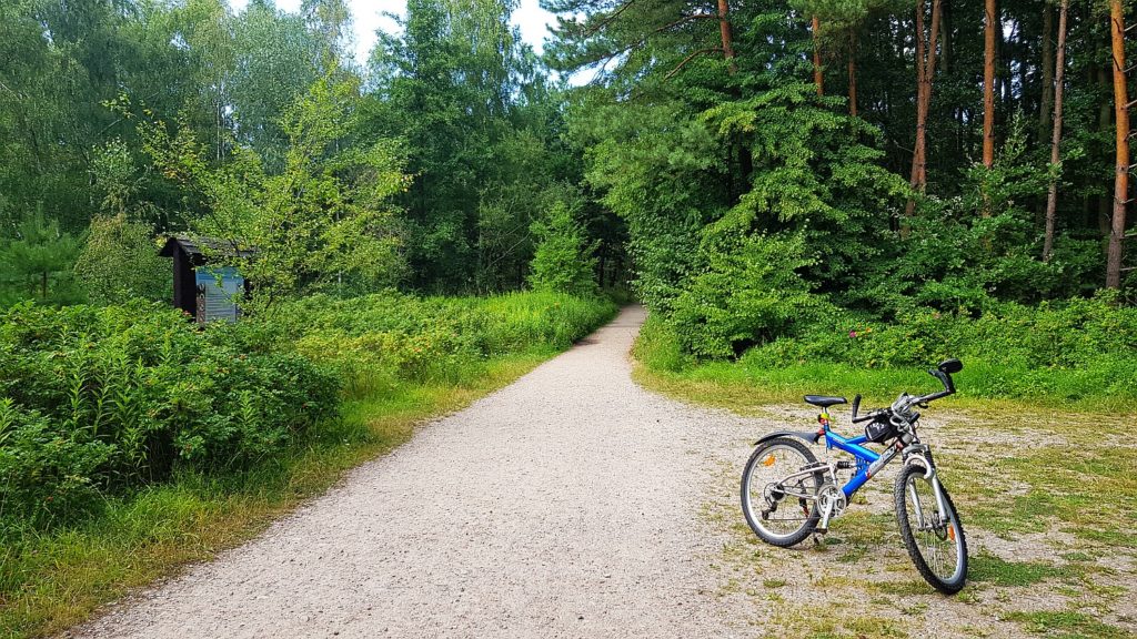 trasa rowerowa mikoszewo - piaski