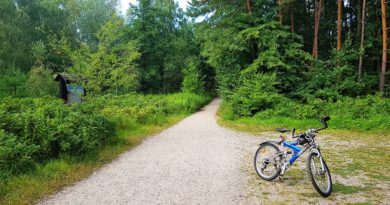 trasa rowerowa mikoszewo - piaski
