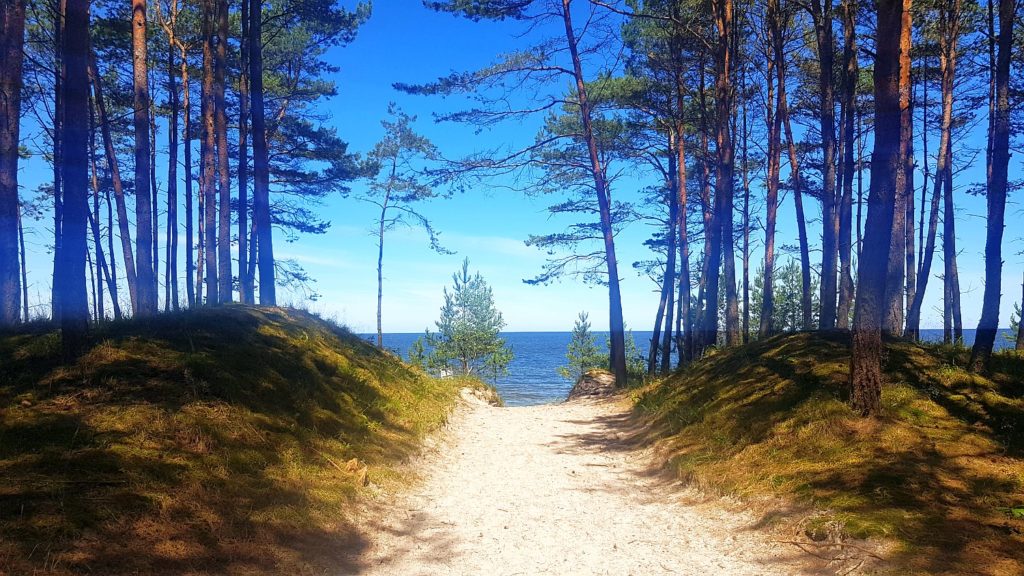 otwarte plaże