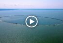 Wyspa Estyjska wideo | NaMierzeje.pl