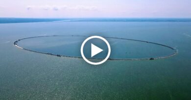 Wyspa Estyjska wideo | NaMierzeje.pl