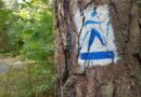 szlaki nordic walking w katach rybackich