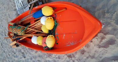 prąd wsteczny bezpieczeństwo na plaży czerwona flaga WOPR