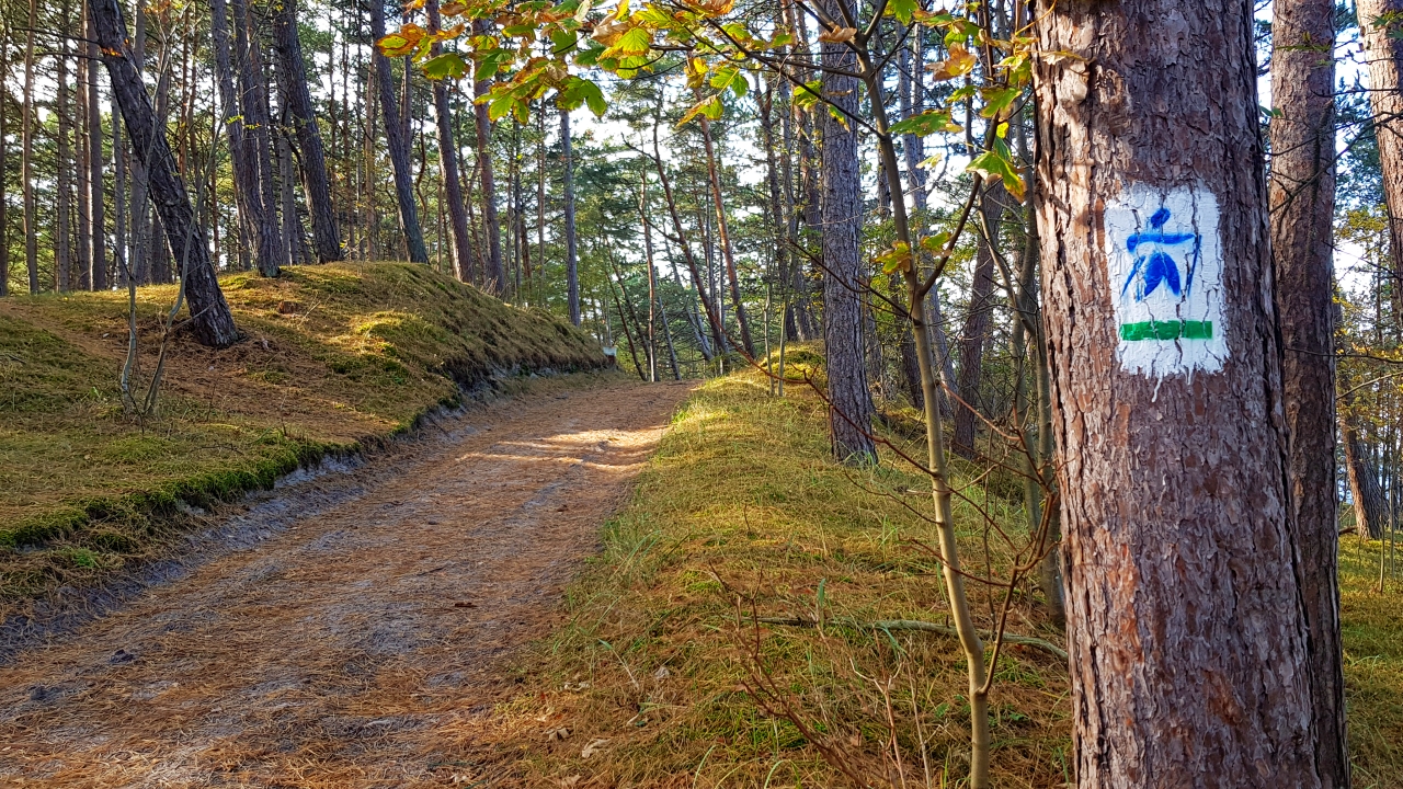 Top 8 jesiennych inspiracji. Nordic walking