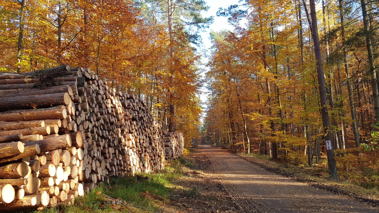 prace wzdłuż trasy R10