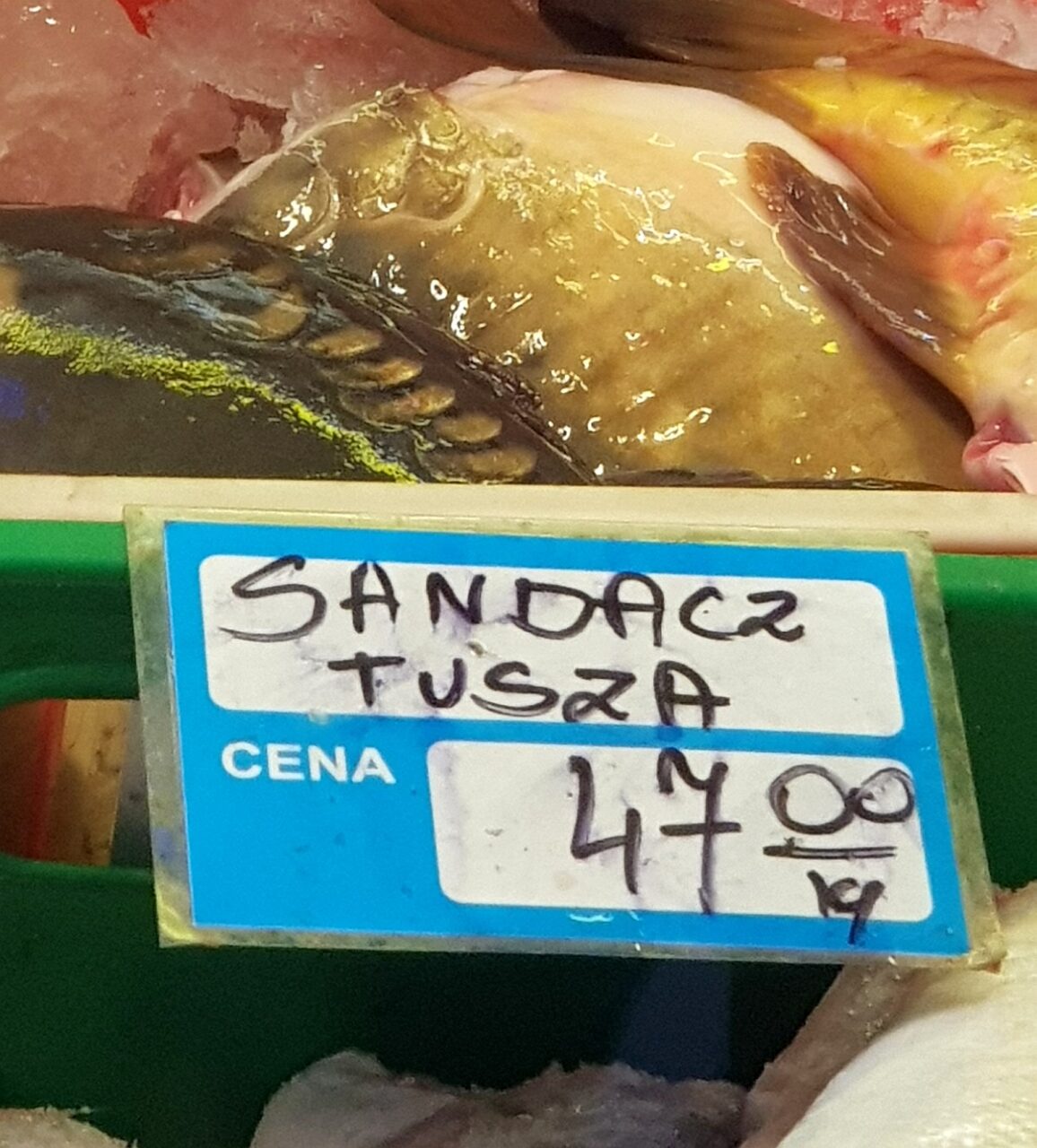 ile kosztuje ryba