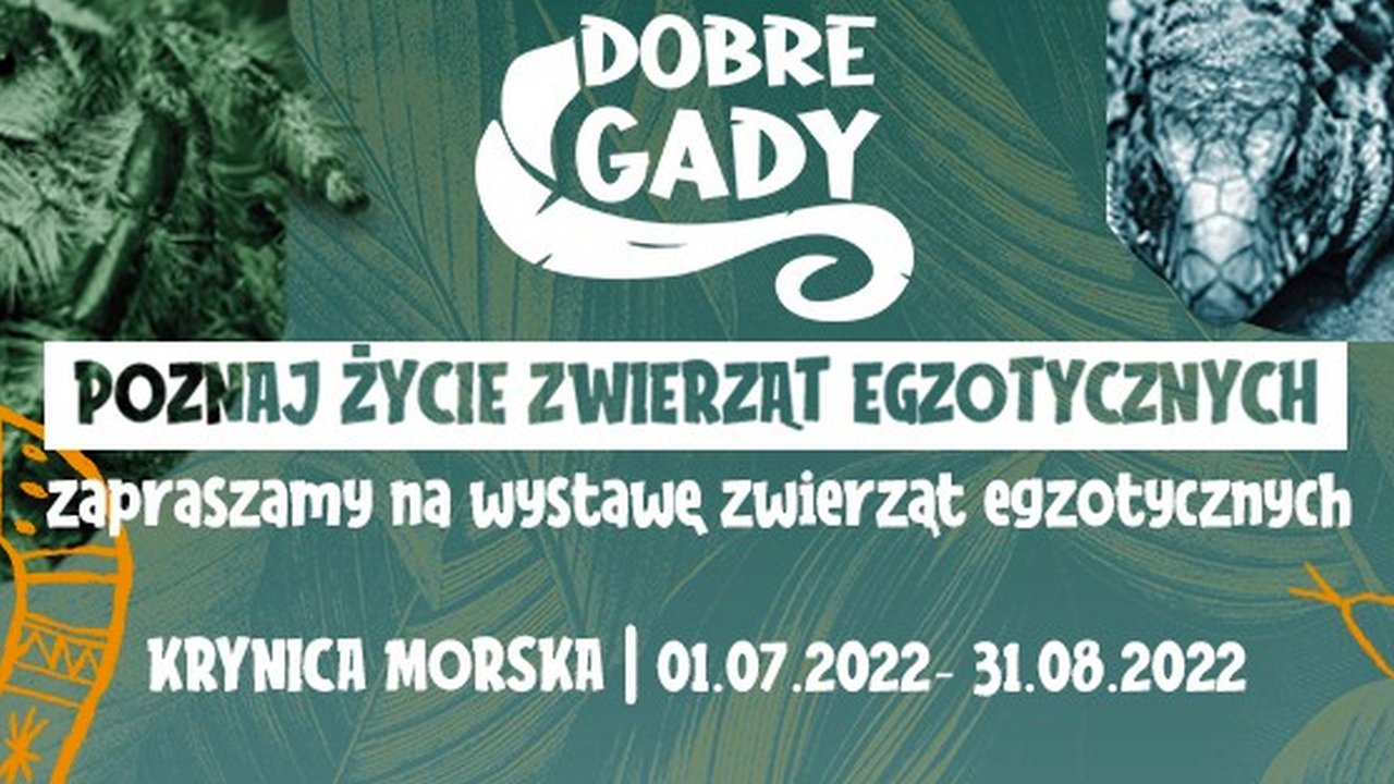 Wystawa Gadów Egzotycznych w Krynicy Morskiej | NaMierzeje.pl