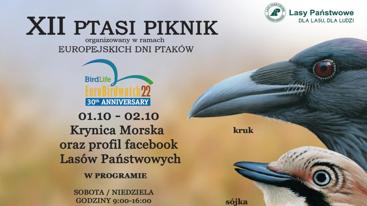 Ptasi Piknik w Krynicy Morskiej | NaMierzeje.pl