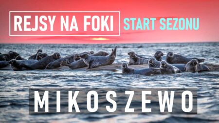 Rejsy na foki Mikoszewo | NaMierzeje.pl