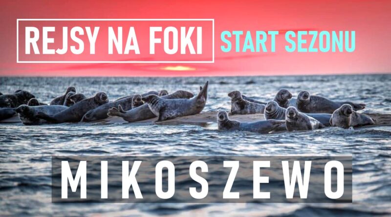 Rejsy na foki Mikoszewo | NaMierzeje.pl