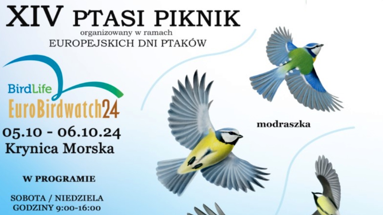 Ptasi Piknik 2024 | NaMierzeje.pl