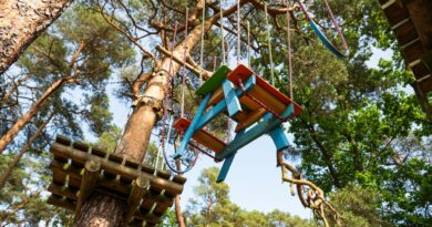 Park Linowy w Stegnie