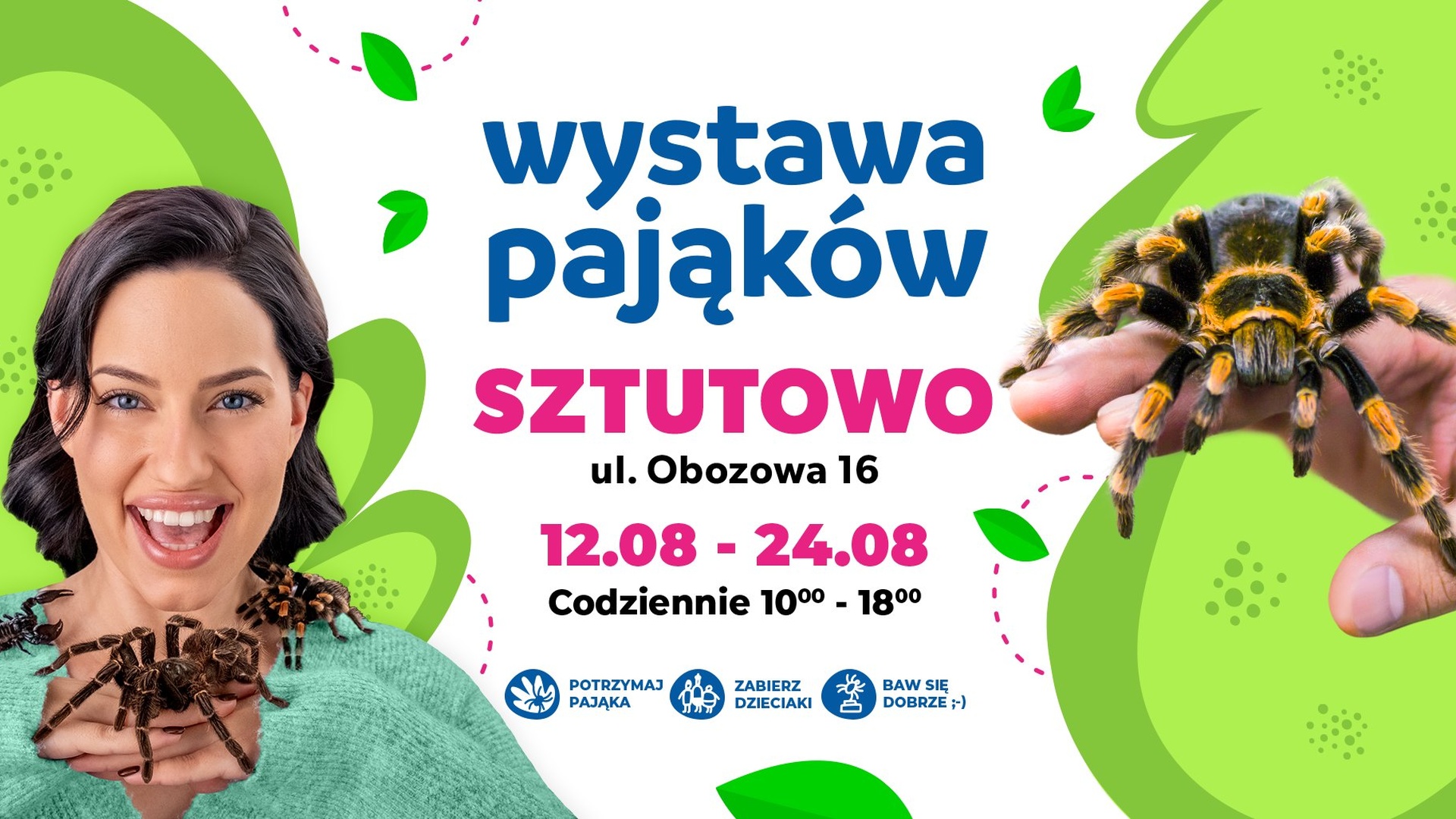 Wystawa Pająków Sztutowo