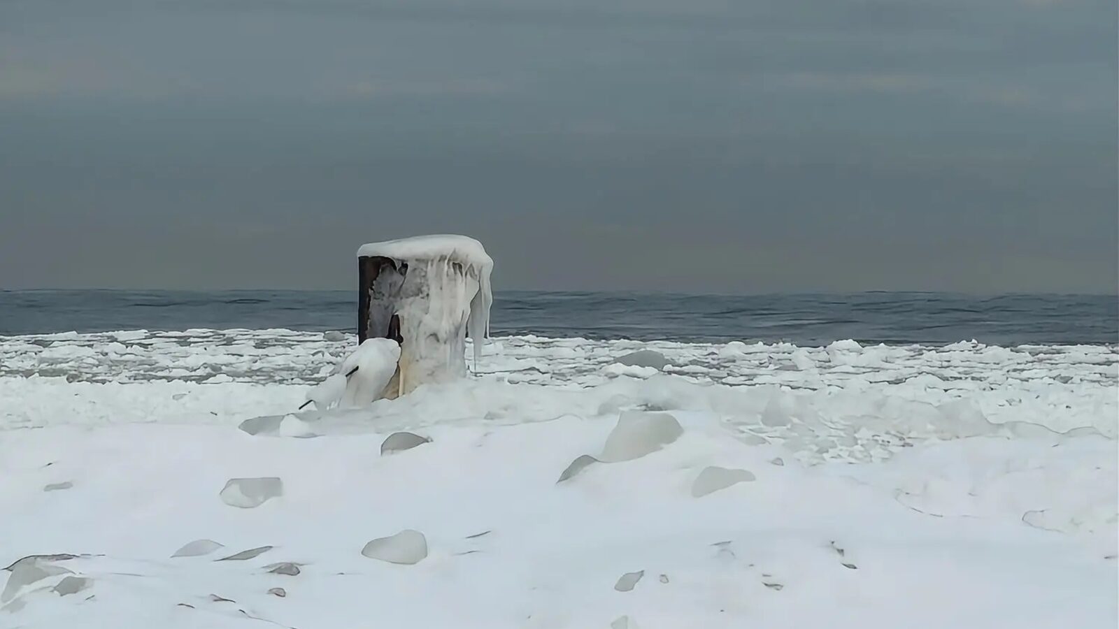 Zamarznięta plaża w Jantarze | NaMierzeje.pl