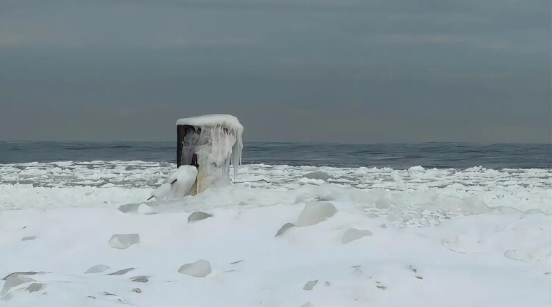 Zamarznięta plaża w Jantarze | NaMierzeje.pl