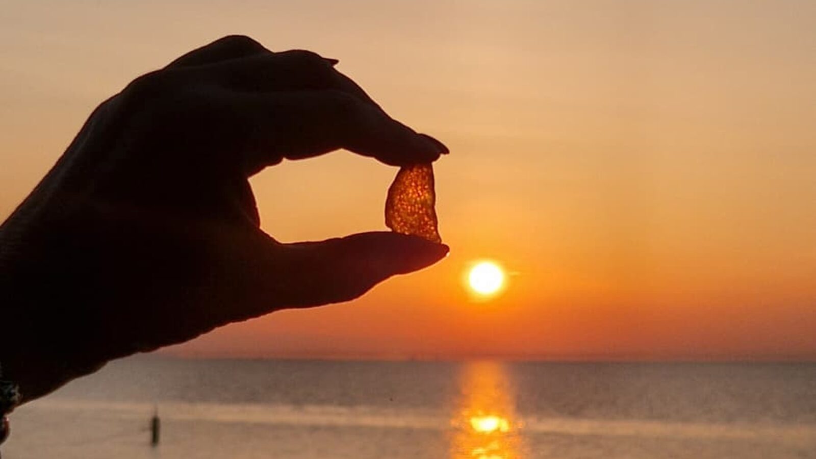 Gmina Stegna. Wydarzenia w sezonie 2026