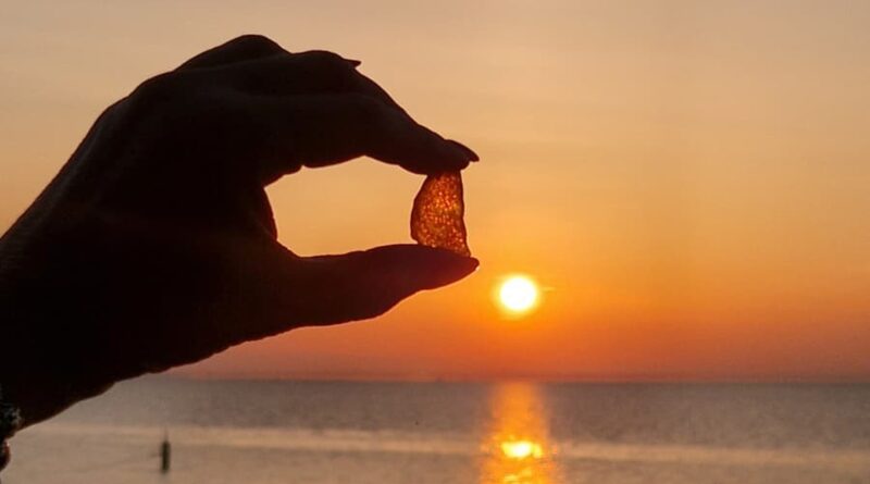 Gmina Stegna. Wydarzenia w sezonie 2026